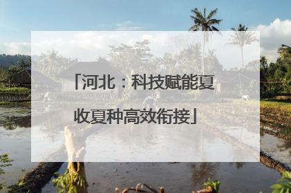 河北：科技赋能夏收夏种高效衔接