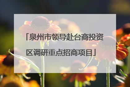 泉州市领导赴台商投资区调研重点招商项目