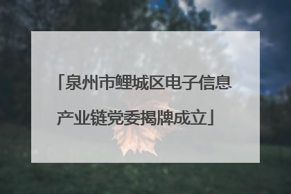 泉州市鲤城区电子信息产业链党委揭牌成立