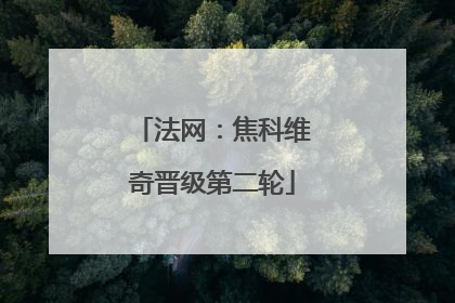 法网：焦科维奇晋级第二轮