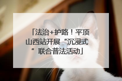 法治+护路！平顶山西站开展“沉浸式”联合普法活动