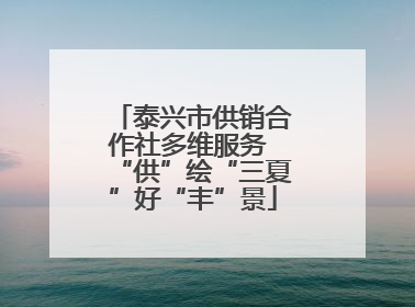 泰兴市供销合作社多维服务 “供”绘“三夏”好“丰”景