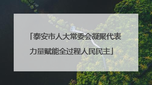 泰安市人大常委会凝聚代表力量赋能全过程人民民主