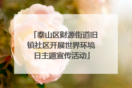 泰山区财源街道旧镇社区开展世界环境日主题宣传活动