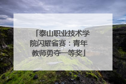 泰山职业技术学院闪耀省赛：青年教师勇夺一等奖