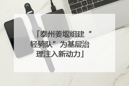 泰州姜堰组建“轻骑队”为基层治理注入新动力