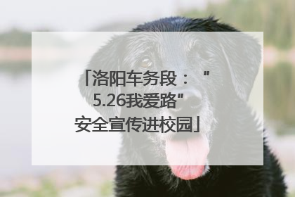 洛阳车务段：“5.26我爱路”安全宣传进校园