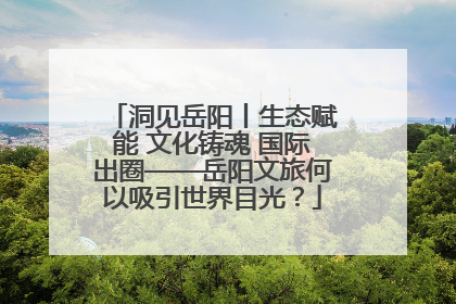 洞见岳阳丨生态赋能 文化铸魂 国际出圈——岳阳文旅何以吸引世界目光？