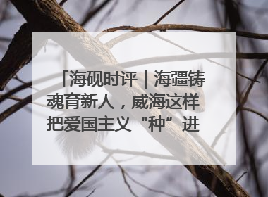 海砚时评｜海疆铸魂育新人，威海这样把爱国主义“种”进年轻人心里