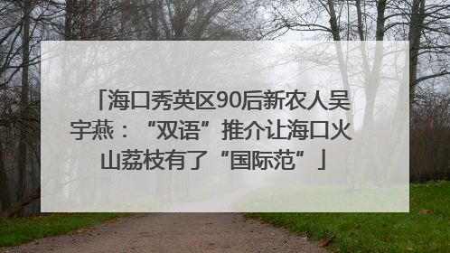 海口秀英区90后新农人吴宇燕：“双语”推介让海口火山荔枝有了“国际范”