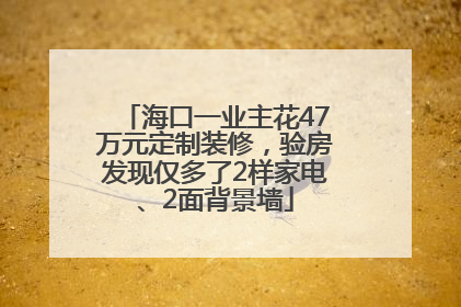 海口一业主花47万元定制装修，验房发现仅多了2样家电、2面背景墙