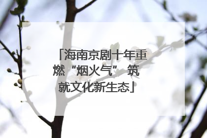 海南京剧十年重燃“烟火气” 筑就文化新生态