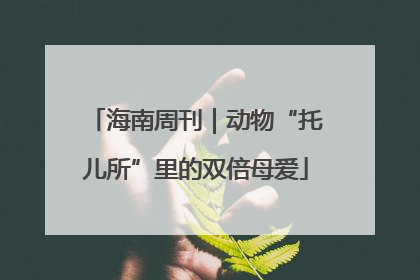 海南周刊｜动物“托儿所”里的双倍母爱