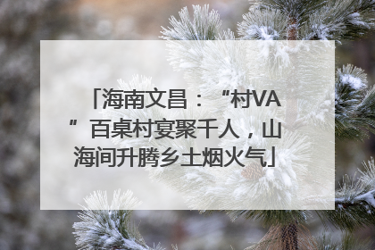 海南文昌：“村VA”百桌村宴聚千人，山海间升腾乡土烟火气