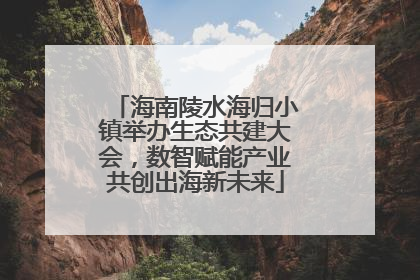 海南陵水海归小镇举办生态共建大会，数智赋能产业共创出海新未来
