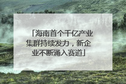 海南首个千亿产业集群持续发力，新企业不断涌入赛道