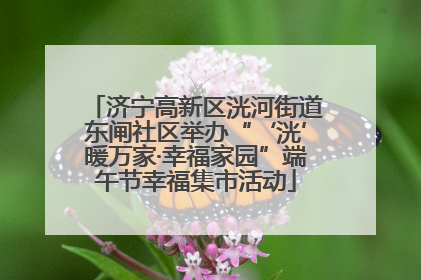 济宁高新区洸河街道东闸社区举办“‘洸’暖万家·幸福家园”端午节幸福集市活动