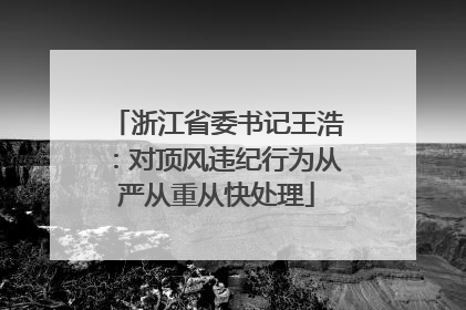 浙江省委书记王浩：对顶风违纪行为从严从重从快处理