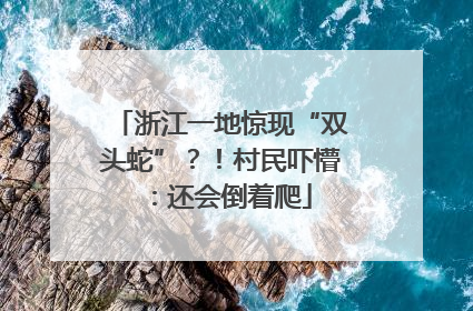 浙江一地惊现“双头蛇”？！村民吓懵：还会倒着爬