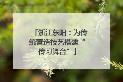 浙江东阳：为传统营造技艺搭建“传习舞台”