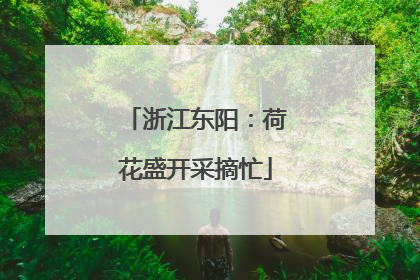 浙江东阳：荷花盛开采摘忙