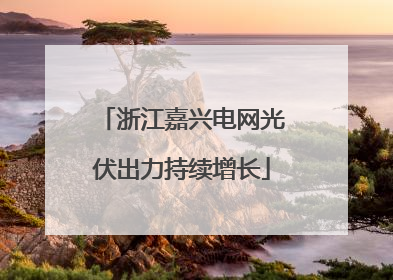 浙江嘉兴电网光伏出力持续增长