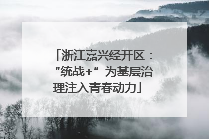 浙江嘉兴经开区：“统战+”为基层治理注入青春动力