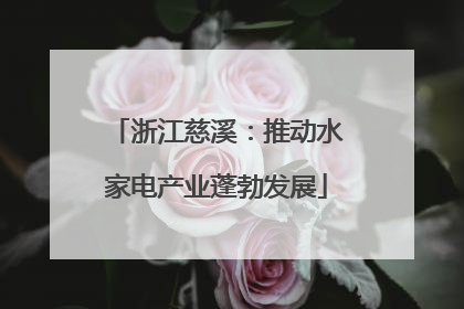 浙江慈溪：推动水家电产业蓬勃发展