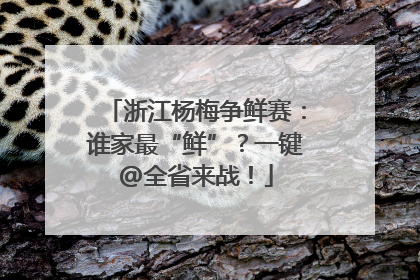 浙江杨梅争鲜赛：谁家最“鲜”？一键@全省来战！