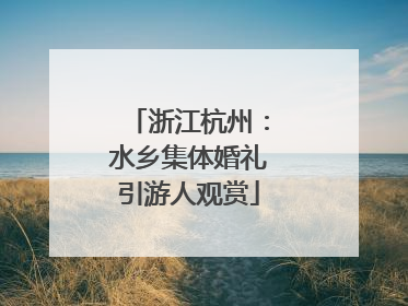 浙江杭州：水乡集体婚礼引游人观赏