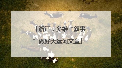 浙江：多维“叙事”做好大运河文章