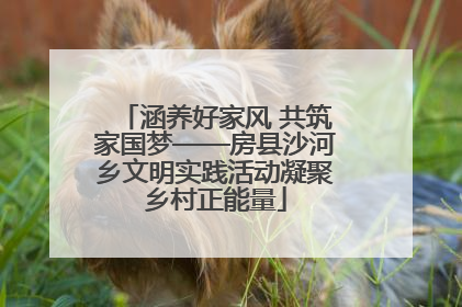 涵养好家风 共筑家国梦——房县沙河乡文明实践活动凝聚乡村正能量
