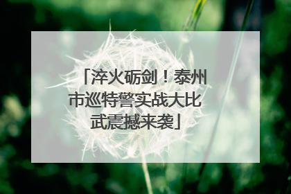 淬火砺剑！泰州市巡特警实战大比武震撼来袭
