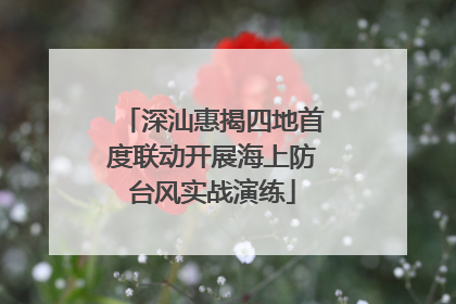 深汕惠揭四地首度联动开展海上防台风实战演练