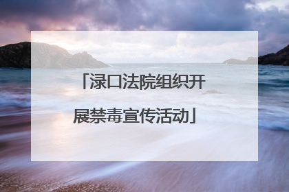 渌口法院组织开展禁毒宣传活动