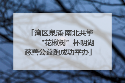 湾区泉涌·南北共擎——“花楸树”杯明湖慈善公益跑成功举办