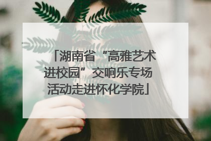 湖南省“高雅艺术进校园”交响乐专场活动走进怀化学院