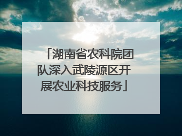 湖南省农科院团队深入武陵源区开展农业科技服务