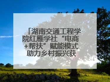 湖南交通工程学院红雁学社“电商+帮扶”赋能模式 助力乡村振兴获帮扶乡镇好评