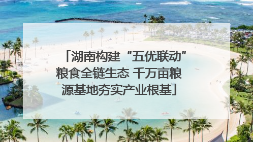 湖南构建“五优联动”粮食全链生态 千万亩粮源基地夯实产业根基