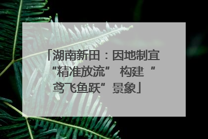 湖南新田：因地制宜“精准放流” 构建“鸢飞鱼跃”景象