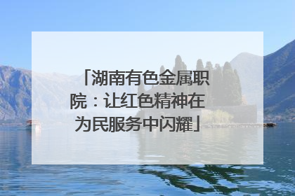湖南有色金属职院：让红色精神在为民服务中闪耀