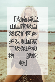 湖南舜皇山国家级自然保护区巡护发现国家二级保护动物——脆蛇蜥