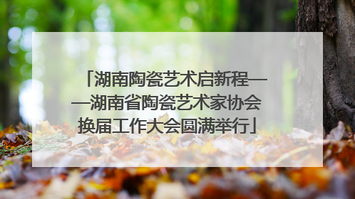 湖南陶瓷艺术启新程——湖南省陶瓷艺术家协会换届工作大会圆满举行