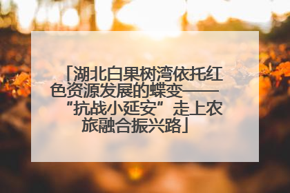 湖北白果树湾依托红色资源发展的蝶变——“抗战小延安”走上农旅融合振兴路