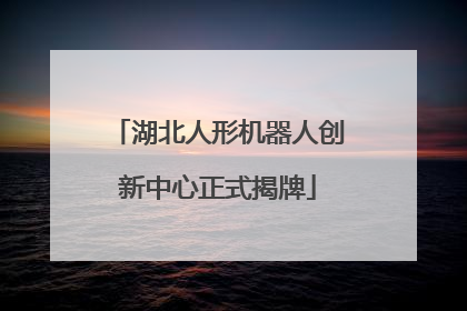 湖北人形机器人创新中心正式揭牌