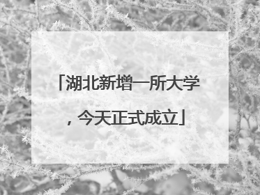湖北新增一所大学，今天正式成立
