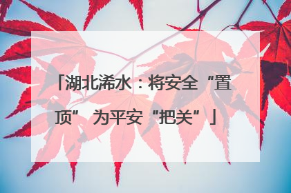 湖北浠水：将安全“置顶” 为平安“把关”
