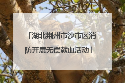 湖北荆州市沙市区消防开展无偿献血活动