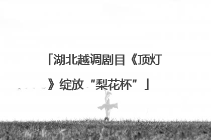 湖北越调剧目《顶灯》绽放“梨花杯”
